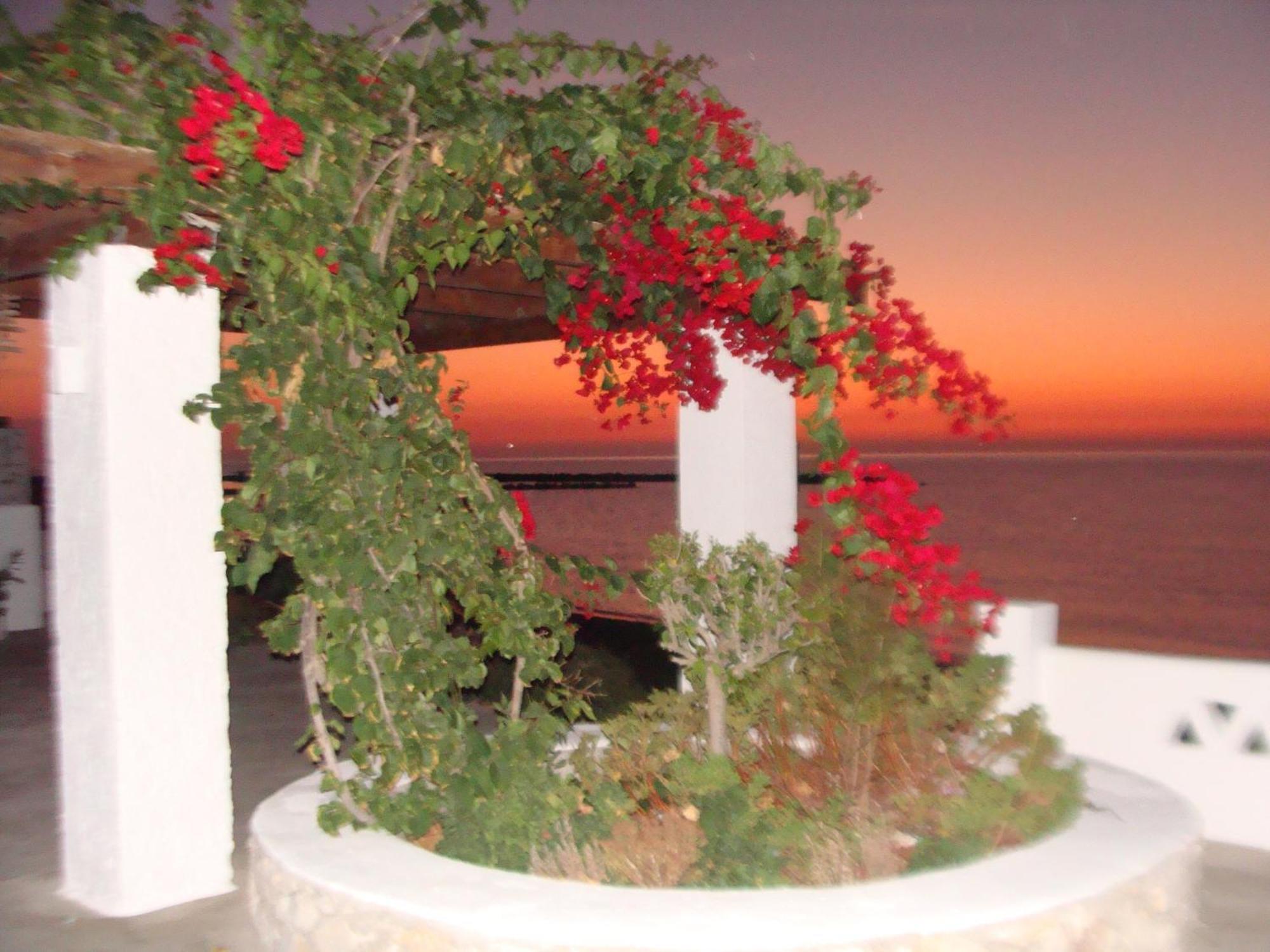 Παραθιν Αλοσ 2 Apartment Skyros Bagian luar foto